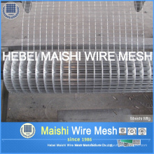 Geschweißte Mesh-Art und Konstruktion Wire Mesh